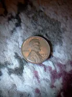 IMG019.webp IMG019.webp