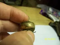 May 15, 2012 Gold Ring! (4).webp