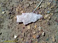 DSCF0008 (800x600).webp