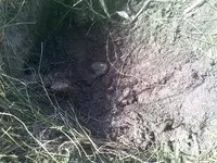 rsz_0414121114.webp
