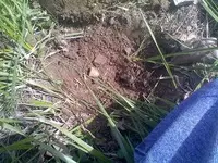rsz_0414121211.webp