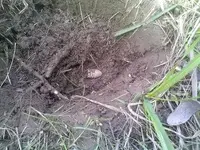 rsz_0414121222.webp