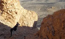 01CA.webp