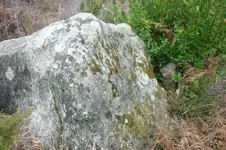 P1030841.webp