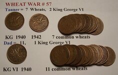 wheat war 57.JPG