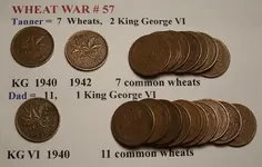 wheat war 57.webp