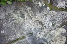 P1030850.webp
