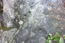 P1030851.webp