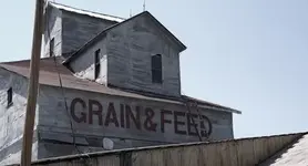 Grain Elevator with Grain and Feed on it.webp