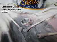 Clean Ring 001.webp