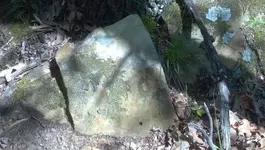 1333387075955.webp