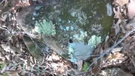1333386825960.webp