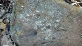 1332706654759.webp