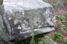 543330_180.webp