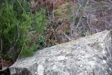 543330_201.webp