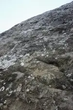 543330_217.webp