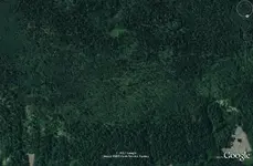 Ridge Rightside.webp