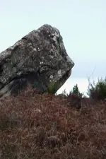 543330_220.webp