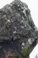 543330_222.webp