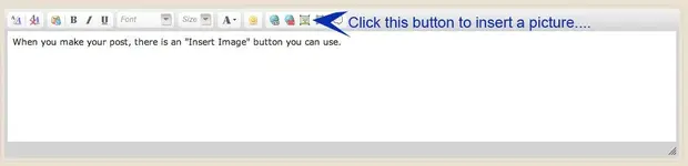 insert-picture-button.webp