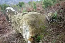 543330_17.webp