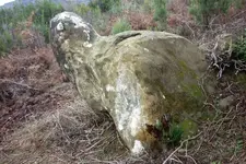 543330_18.webp