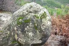 543330_32.webp