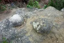 543330_68.webp