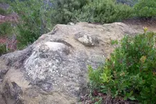 543330_69.webp