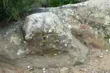 543330_70.webp