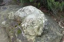 543330_71.webp