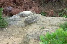 543330_72.webp