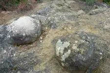 543330_73.webp
