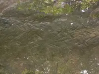 DSCN1512.webp