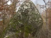 DSCN1518.webp