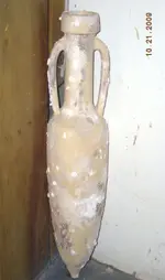 Encrusted-1.webp