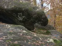 DSCN1523.webp
