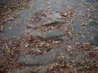 DSCN1526.webp