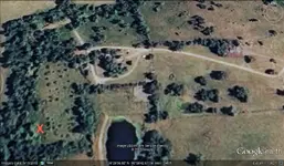 aunt b 1-kevinp.webp