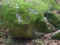 DSCN1539.webp