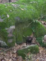 DSCN1541.webp
