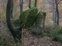 DSCN1542.webp