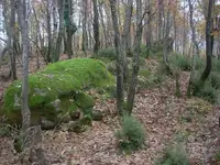 DSCN1543.webp