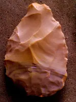IMAG0117-finds4crop.webp
