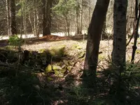 P2070041.webp