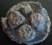 lead seal front 52312.webp