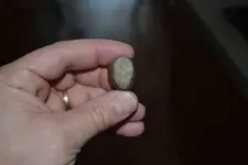 Acorn End.webp