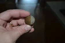 Acorn End 2.webp