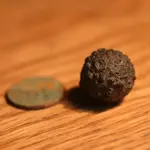 NH FINDS 04-10 044.webp