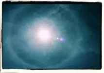 Sun Dog 3.webp Sun Dog 3.webp